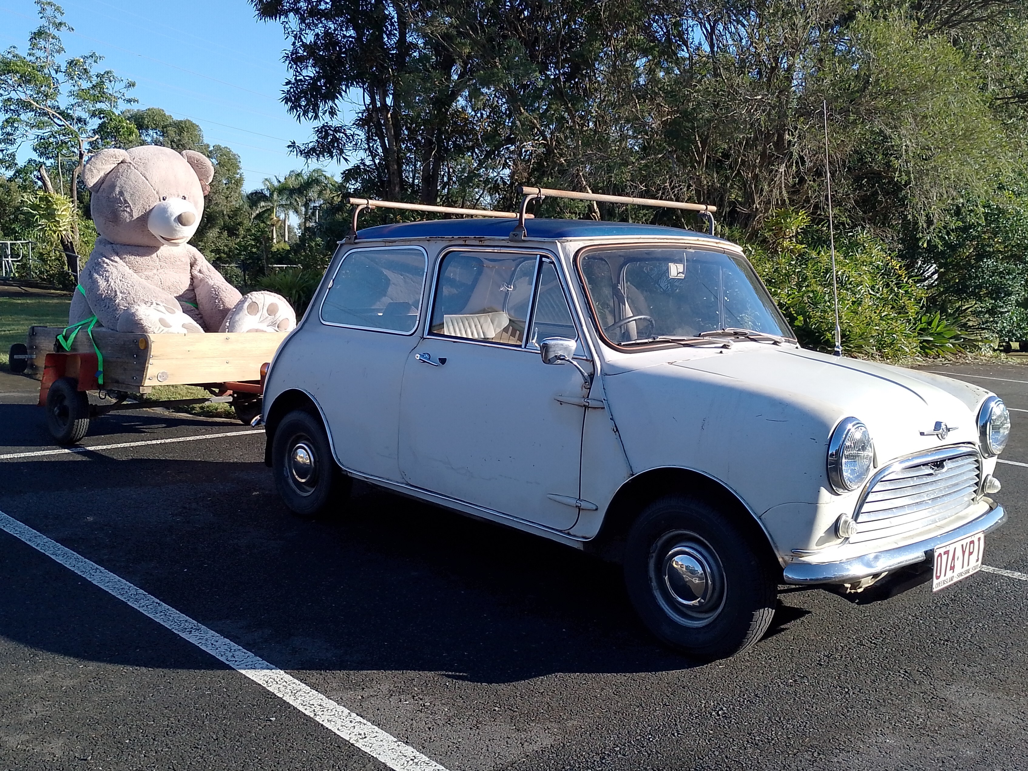 Turtle with Hugo picture